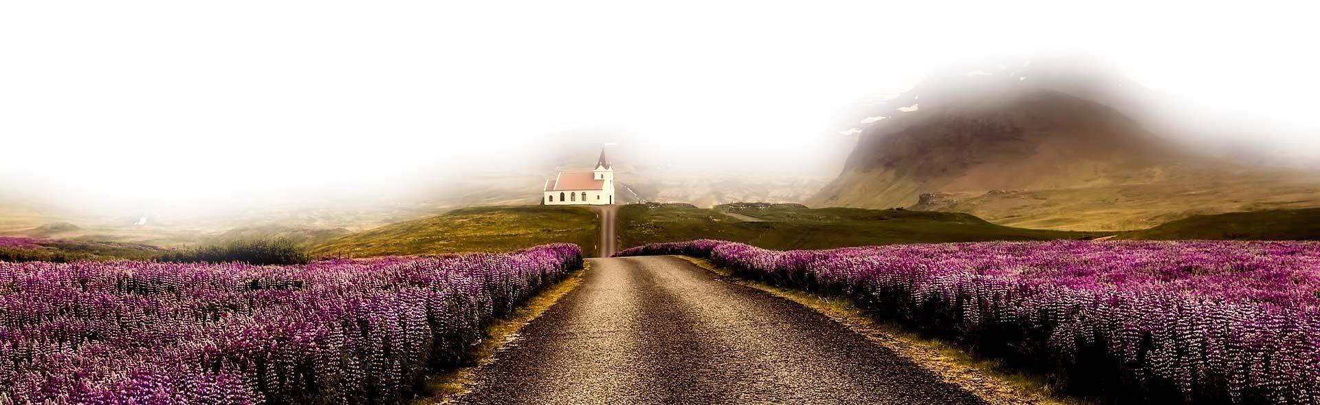 Islandia – Salida en Grupo 2025